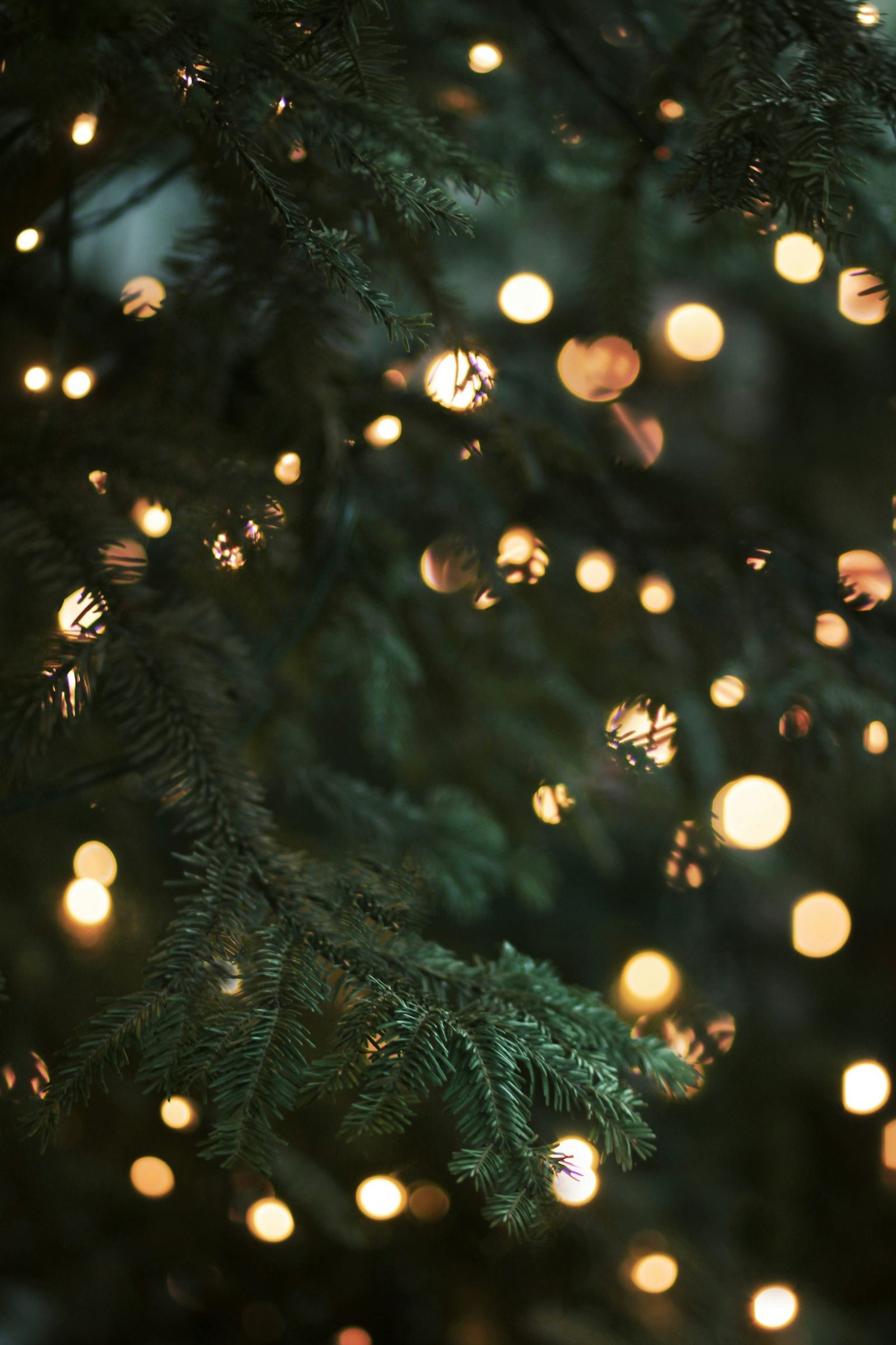 Reflect, Celebrate, and Reset: Journaling Prompts to End the Year with Intention