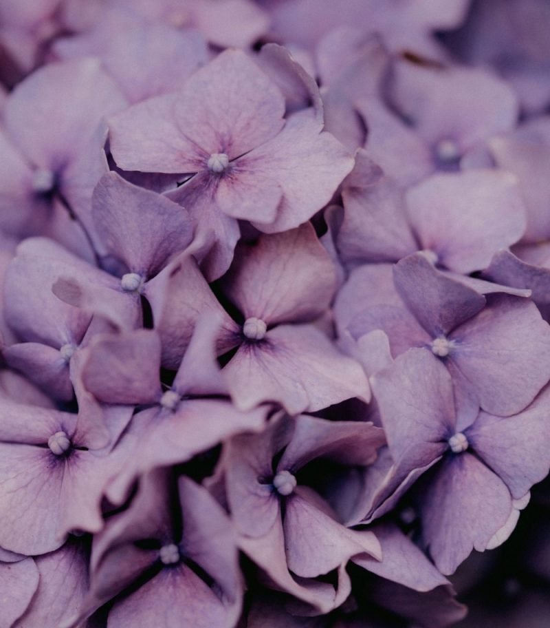 Gratitude Journaling: How Daily Practice Changes Your Brain